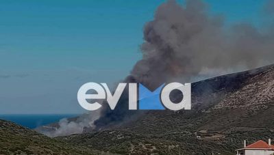 Φωτιά στην Εύβοια – Ισχυρές δυνάμεις της Πυροσβεστικής στο σημείο
