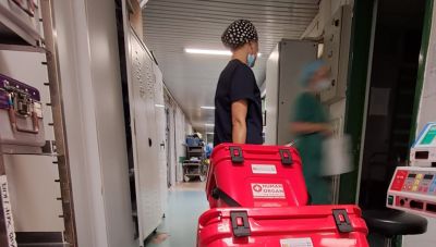 Δωρεά οργάνων: Περισσότεροι από 7.000 δωρητές μετά την καμπάνια του υπουργείου Υγείας