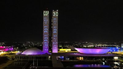 Greenpeace: 9 στους 10 πολίτες ζητούν προστασία των δασών στην COP30