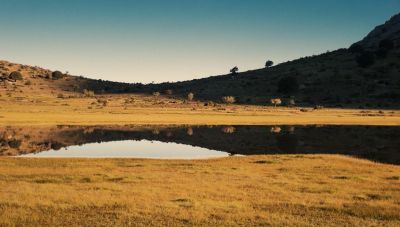 Οι ερευνητικές δραστηριότητες του Ινστιτούτου Μεσογειακών Σπουδών του ΙΤΕ