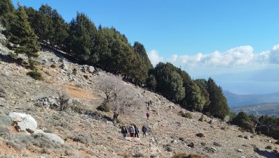 Στα Μινωικά μονοπάτια της Κριτσάς και του Καθαρού