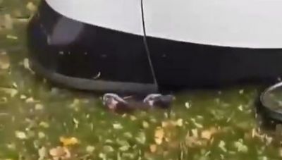 8χρονο αγόρι παγιδεύτηκε κάτω από διερχόμενο τραμ (βίντεο)