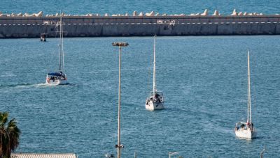 'Εντονο διάβημα διαμαρτυρίας της Αθήνας για τις δηλώσεις του Ισραηλινού υπουργού που ζήτησε να φυλακιστούν οι ακτιβιστές