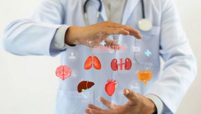 Η Ελλάδα έχει επιλεγεί για τον εορτασμό της ευρωπαϊκής ημέρας δωρεάς οργάνων 2025