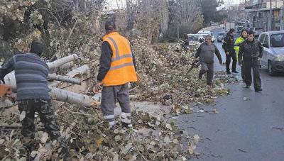Κώστας Βαρδαβάς: «Υποστελεχωμένη η Υπηρεσία Πρασίνου Ηρακλείου, ξέμεινε χωρίς εργολαβία»