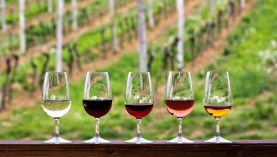 Ελληνική οινοπαραγωγή: Αύξηση 6,01% για το 2025 δείχνουν τα πρώτα στοιχεία