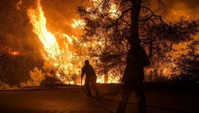 Νέα μελέτη: Η κλιματική κρίση τριπλασιάζει τις καταστροφικές πυρκαγιές παγκοσμίως