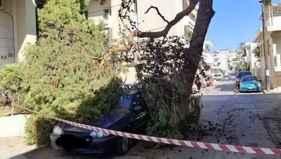Ηράκλειο: Κλαδί δέντρου καταπλάκωσε αυτοκίνητο στον Μασταμπά