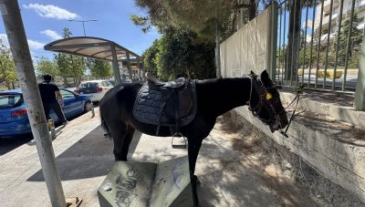 Δεμένο άλογο στην περίφραξη του ΠΑΓΝΗ: Ανησυχούν όσοι το βλέπουν μην έχει εγκαταλειφθεί