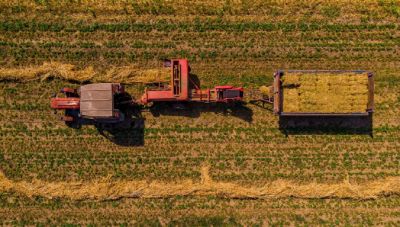 Αναπτυξιακή Ηρακλείου: Ξεκινά η Υποβολή Προτάσεων για τα Τοπικά Προγράμματα ΤΑΠΤοΚ LEADER