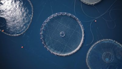 Τουρκική επέλαση σε ιχθυοκαλλιέργειες και αγροτικά προϊόντα στην ευρωπαϊκή αγορά