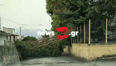 Κρήτη: Σε κατάσταση ανάγκης η ενδοχώρα - Ζημιές σε σπίτια, πτώσεις καμινάδας, ταμπελών και δέντρων στο Δ. Μινώα Πεδιάδας (Φωτο)