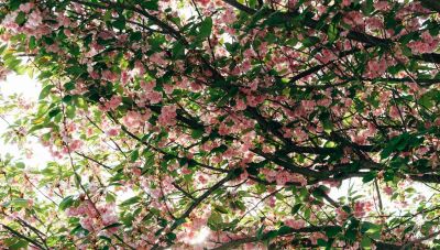 Καιρός:  Ανάσταση με κρύο και Πάσχα με λιακάδα  αλλά και βροχές στην Κρήτη, αναλυτική πρόγνωση