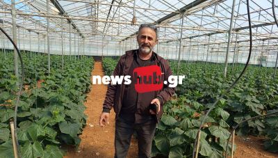 Μεσαρά: Όλη η αλήθεια για τις τιμές σε κηπευτικά, από τις χαμηλές στον παραγωγό, στις υψηλές στο ράφι που ζαλίζουν