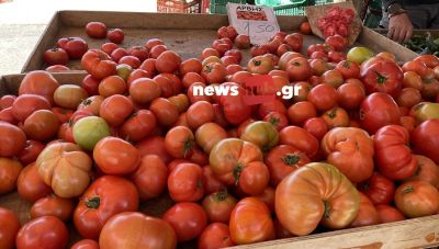 Κρήτη-Ντομάτες: Από 4 ευρώ έπεσαν στο 0,5-1,5 ευρώ μέσα σε λίγες μέρες-Τι συνέβη