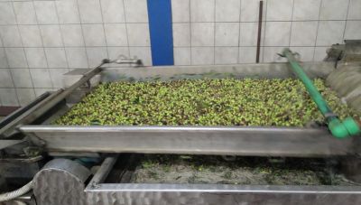 Ελαιόλαδο: Ο Μάης ενδέχεται να φέρει μικρές αυξήσεις τιμών προς τους παραγωγούς – Τι λένε οι έμποροι στους αγρότες του Ρεθύμνου