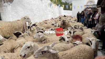 Το πανηγύρι του Αϊ Γιώργη και η τελετουργία της ευλογίας των προβάτων στην Κρήτη (Φωτο & Βίντεο)