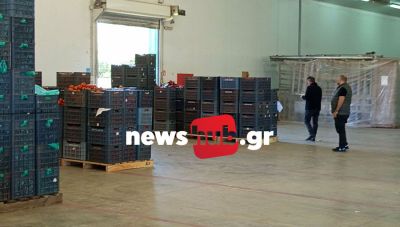 Τυμπάκι: Έπεσαν απότομα οι τιμές στον παραγωγό, όχι όμως και στο ράφι – Στο newshub.gr οι εκπρόσωποι του συνεταιρισμού