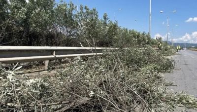 Ρέθυμνο: Καθαρισμοί δρόμων τον Απρίλιο σε Σκουλούφια και Ρούπες