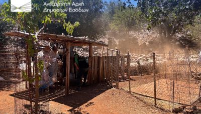 ΑΑΔΕ: Πρώτος μαζικός επιτόπιος έλεγχος για αγροτικές επιδοτήσεις στην Κρήτη- 120 από τους 195 κτηνοτρόφους δεν προσήλθαν (Βίντεο και Φωτό)