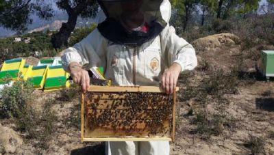 Κρητική μελισσοκομία: Φωτιές, καύσωνες και κόστος παραγωγής αφανίζουν τους μελισσοκόμους!