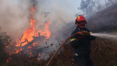Πρόεδρος Ιατρικού Συλλόγου Χαλκιδικής για φωτιές: Μέσα στην καταστροφή, δεν χάθηκε ανθρώπινη ζωή -Ένα μεγάλο ευχαριστώ
