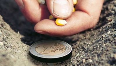Αγροτικές ενισχύσεις: Τρεις «καυτές» προθεσμίες τον Αύγουστο για de minimis και επιδότηση στα λιπάσματα