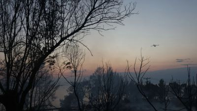 Copernicus: Σχεδόν 2.500 στρέμματα η περίμετρος της καμένης έκτασης από τη φωτιά στη Σίβηρη Χαλκιδικής