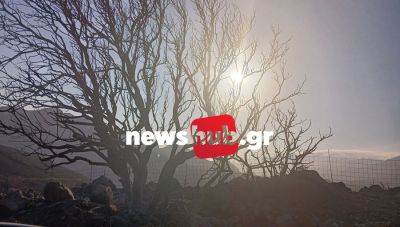 Οδοιπορικό στο Ρέθυμνο: Η επόμενη μέρα της καταστροφής μετά την πύρινη λαίλαπα – Στάχτες και αποκαΐδια τα πάντα (Φωτο + Βίντεο)