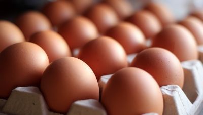 Πρωτοφανής έξαρση σαλμονέλας στο Βέλγιο με τουλάχιστον 306 κρούσματα