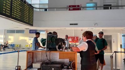 Ηράκλειο: Check in στους επιβάτες πτήσης έκανε μια μικρή γάτα στο αεροδρόμιο