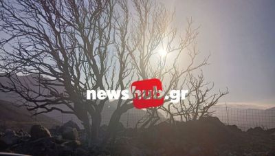 Κρατική Αρωγή 9,79 εκατ. ευρώ για τους πυρόπληκτους: Οριοθετήθηκαν οι πληγείσες περιοχές - Ανάμεσά τους και το Ρέθυμνο