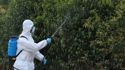 ΕΟΔΥ: 75 νέα κρούσματα από τον ιό του Δυτικού Νείλου την τελευταία εβδομάδα – Στους 19 οι νεκροί