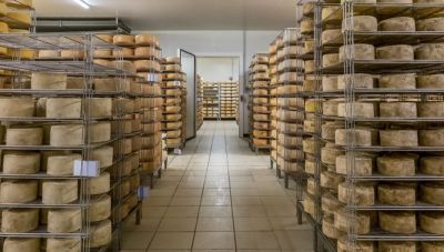 Γαλλία: «Χαλαρώνει» τις προδιαγραφές για τη τυρoκομία λόγω καύσωνα