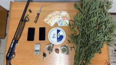Μεσσηνία: Εντοπίστηκε φυτεία με 267 δενδρύλλια κάνναβης – Τρεις συλλήψεις