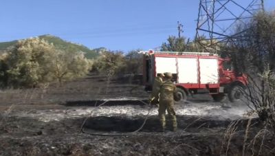 Πυροσβεστική: Συνολικά 27 αγροτοδασικές πυρκαγιές το τελευταίο εικοσιτετράωρο