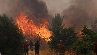 Πύρινος εφιάλτης σε Αττική και Βοιωτία: Στον οικισμό της Αγίας Σκέπης πέρασε η φωτιά