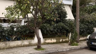 Συγκλονίζουν οι μαρτυρίες για την τραγωδία στην Ελευσίνα - «Μαμά μου άνοιξε τα μάτια σου» φώναζε η 44χρονη