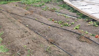 Σπεύδουν να πληρώσουν τα πρόστιμα οι επιχειρήσεις – Eξασφαλίζουν έκπτωση έως 50%