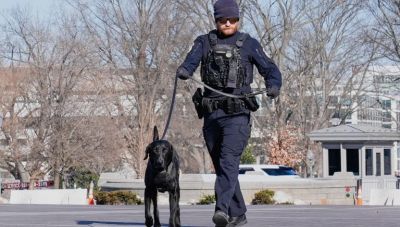 Συναγερμός στην Ουάσινγκτον: Η αστυνομία συνέλαβε ένοπλο έξω από το Καπιτώλιο
