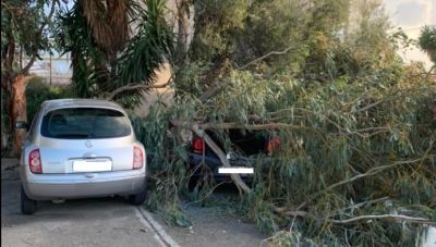 Προβλήματα από τους θυελλώδεις ανέμους στην Κρήτη-Πτώσεις δέντρων και κλαδιών, απαγορευτικό στα πλοία