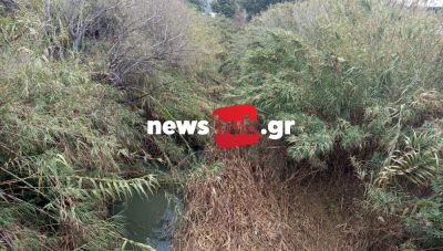 «Πνιγμένος» στα καλάμια ο Δρακουλιάρης ποταμος: Μια ζούγκλα που ανησυχεί κατοίκους και επιχειρηματίες (Φωτο)