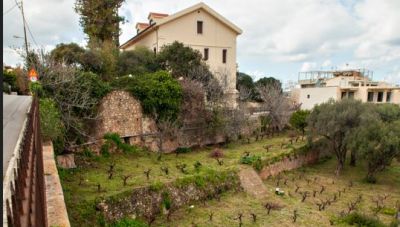 Χανιά: Έκδήλωση με θέμα «Το αμπέλι του Βενιζέλου στη Χαλέπα: ο μοναδικός ιστορικός αστικός αμπελώνας της Ελλάδας»