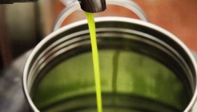 Κρητικό ελαιόλαδο: Στασιμότητα στις τιμές παραγωγού και ζημιά στην αγορά από μεγάλες ποσότητες τυνησιακού ελαιολάδου