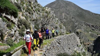 Εκδρομή στο φαράγγι του Μέσωνα