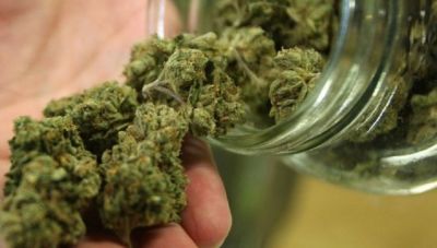 Βόρεια Μακεδονία: Η αστυνομία κατέσχεσε πάνω από 30 τόνους κάνναβης