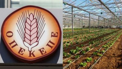 Εξεταστική για ΟΠΕΚΕΠΕ: Κριτική από το ΠΑΣΟΚ στην πρώην Αντιπρόεδρο του Οργανισμού Άννα Μαρία Γιαντσή