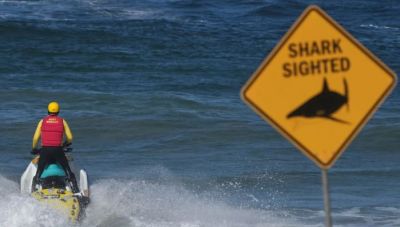 Τέταρτη επίθεση καρχαρία μέσα σε 48 ώρες στην Αυστραλία - Τραυματίστηκε σέρφερ