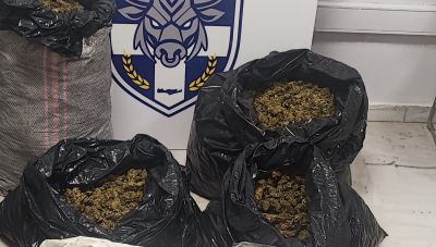 Χτύπημα της Δίωξης Ναρκωτικών στα Χανιά: Πέντε συλλήψεις και πάνω από 24 κιλά κάνναβης