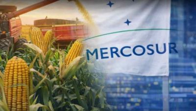 Κίτρινη κάρτα στη Mercosur από την Ευρωβουλή μετά τη θύελλα αντιδράσεων των ευρωπαίων αγροτών